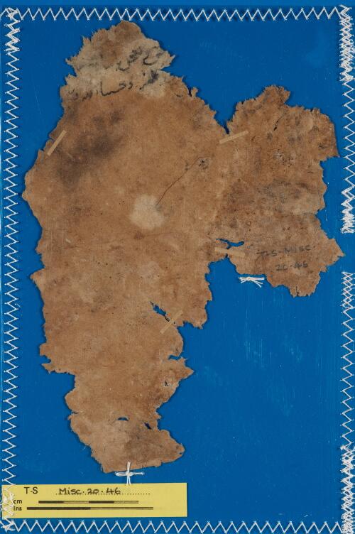 1v