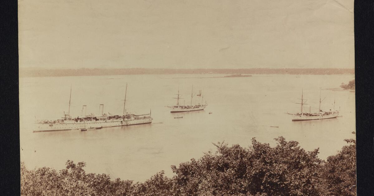 Royal Commonwealth Society : Views in Ceylon [i.e. Sri Lanka], 1890s