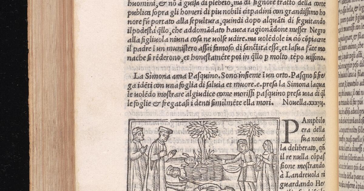 Treasures of the Library : Il Decamerone Di Messer Giovanni Bocchaccio ...